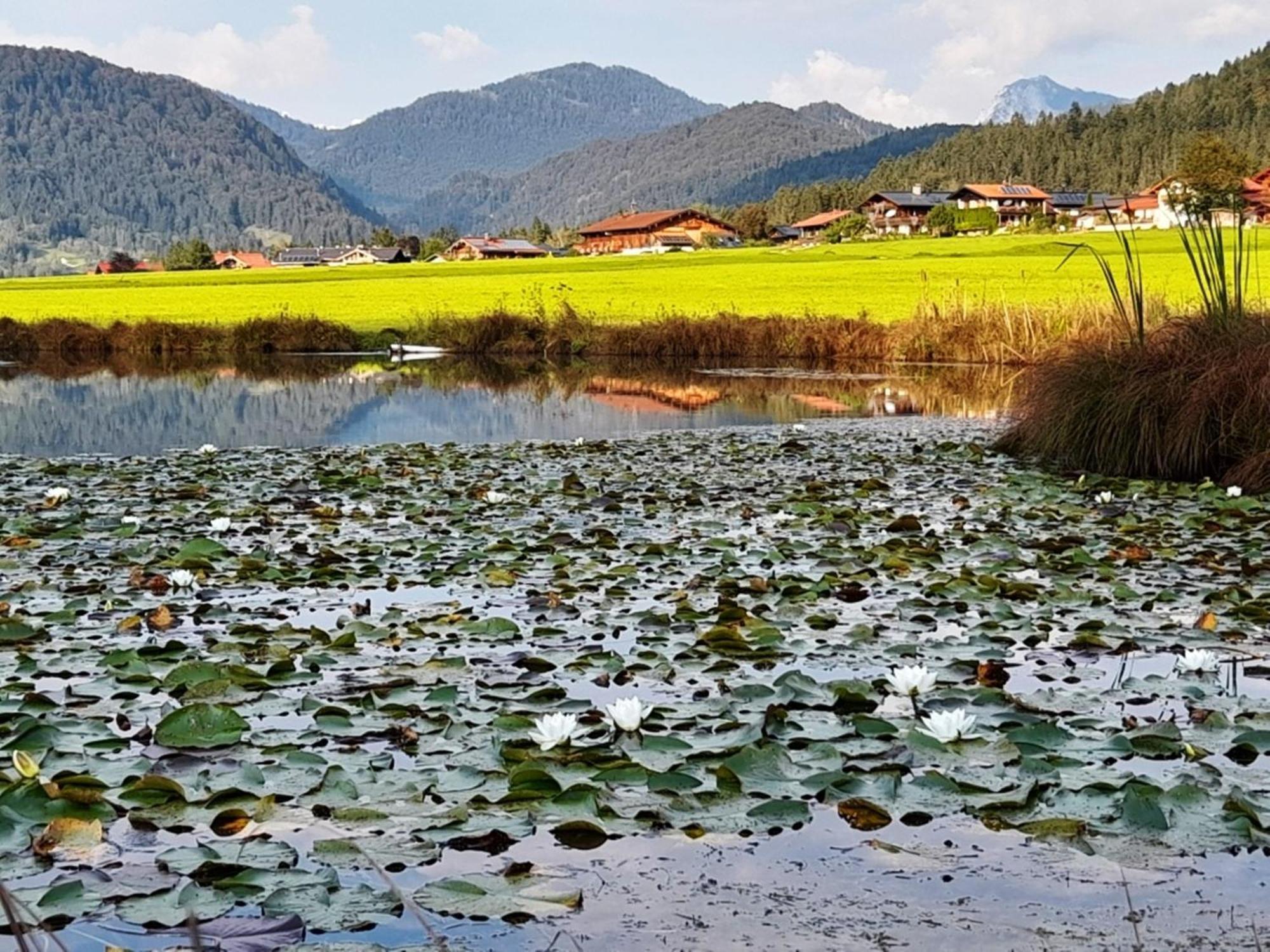 Knapphof Reit im Winkl Bagian luar foto